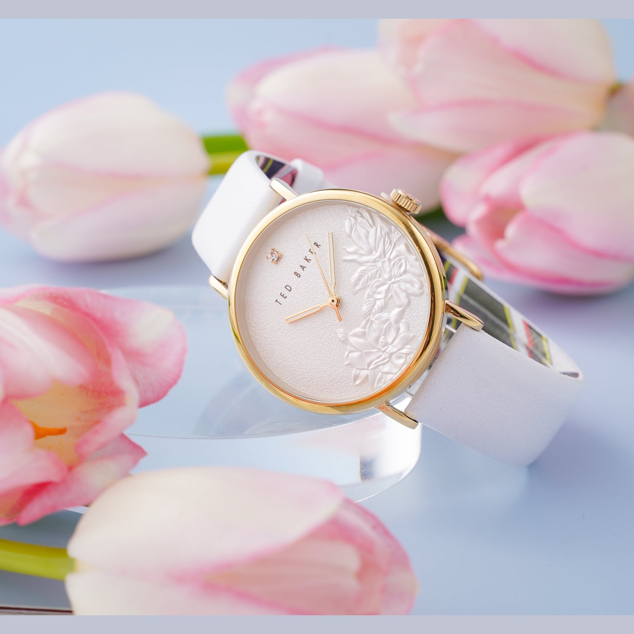 Đồng Hồ Nữ Phylipa Flowers