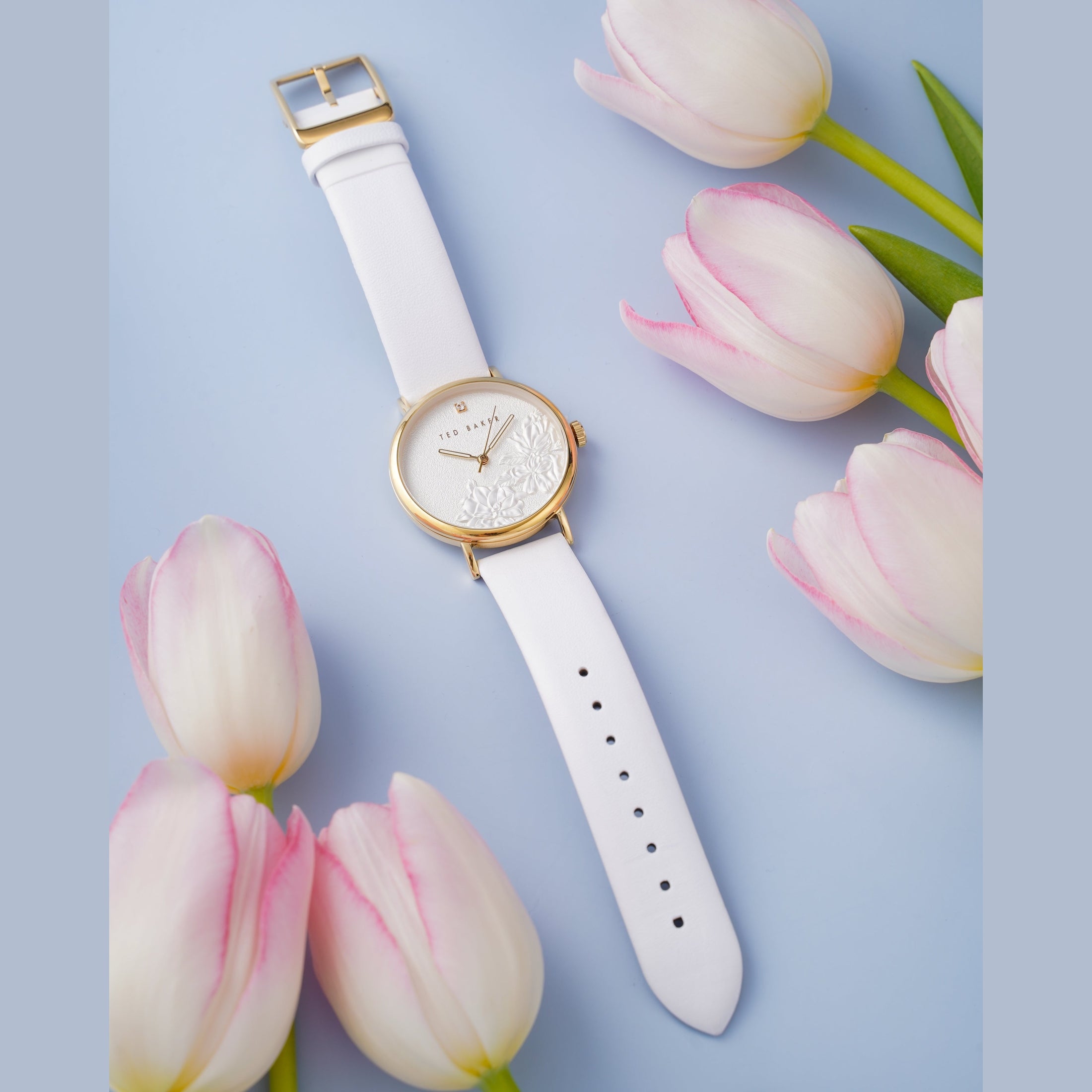 Đồng Hồ Nữ Phylipa Flowers