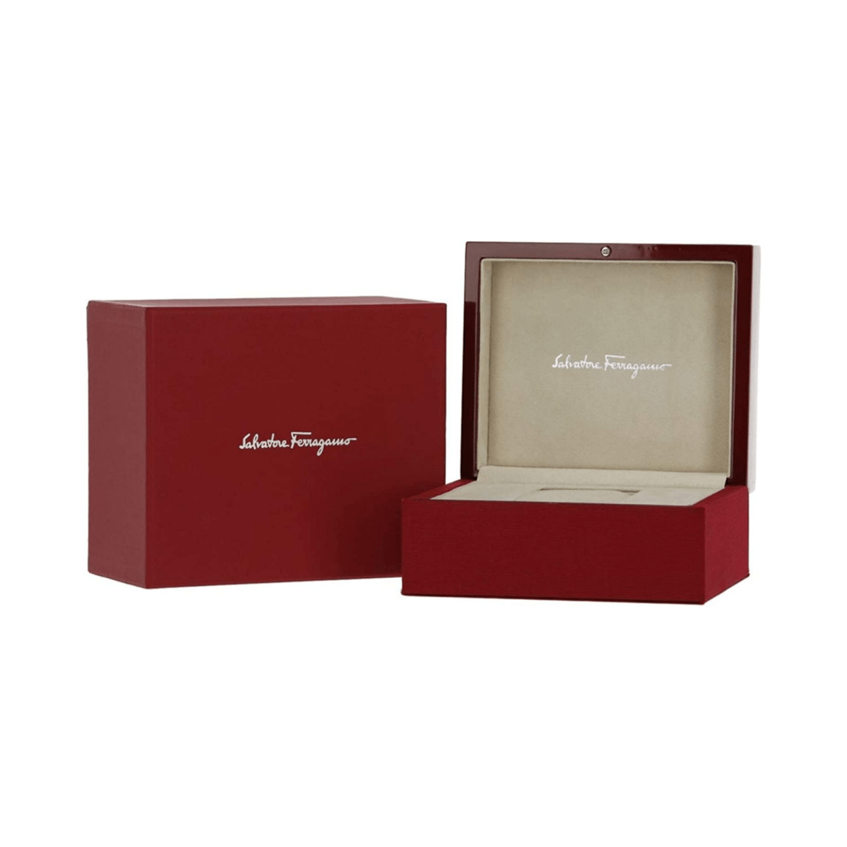 Ferragamo Boxyz - L&M Luxury Timepieces