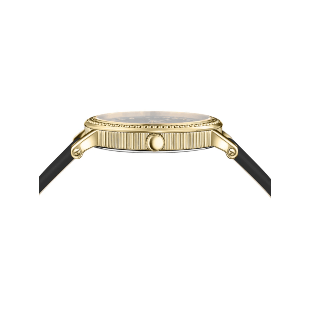 V - Dollar - L&M Luxury Timepieces