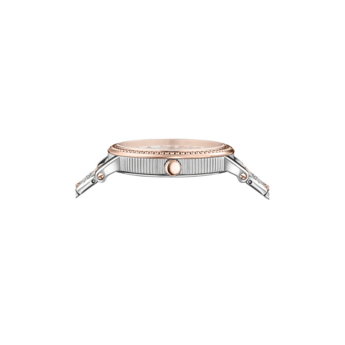 V - Dollar - L&M Luxury Timepieces