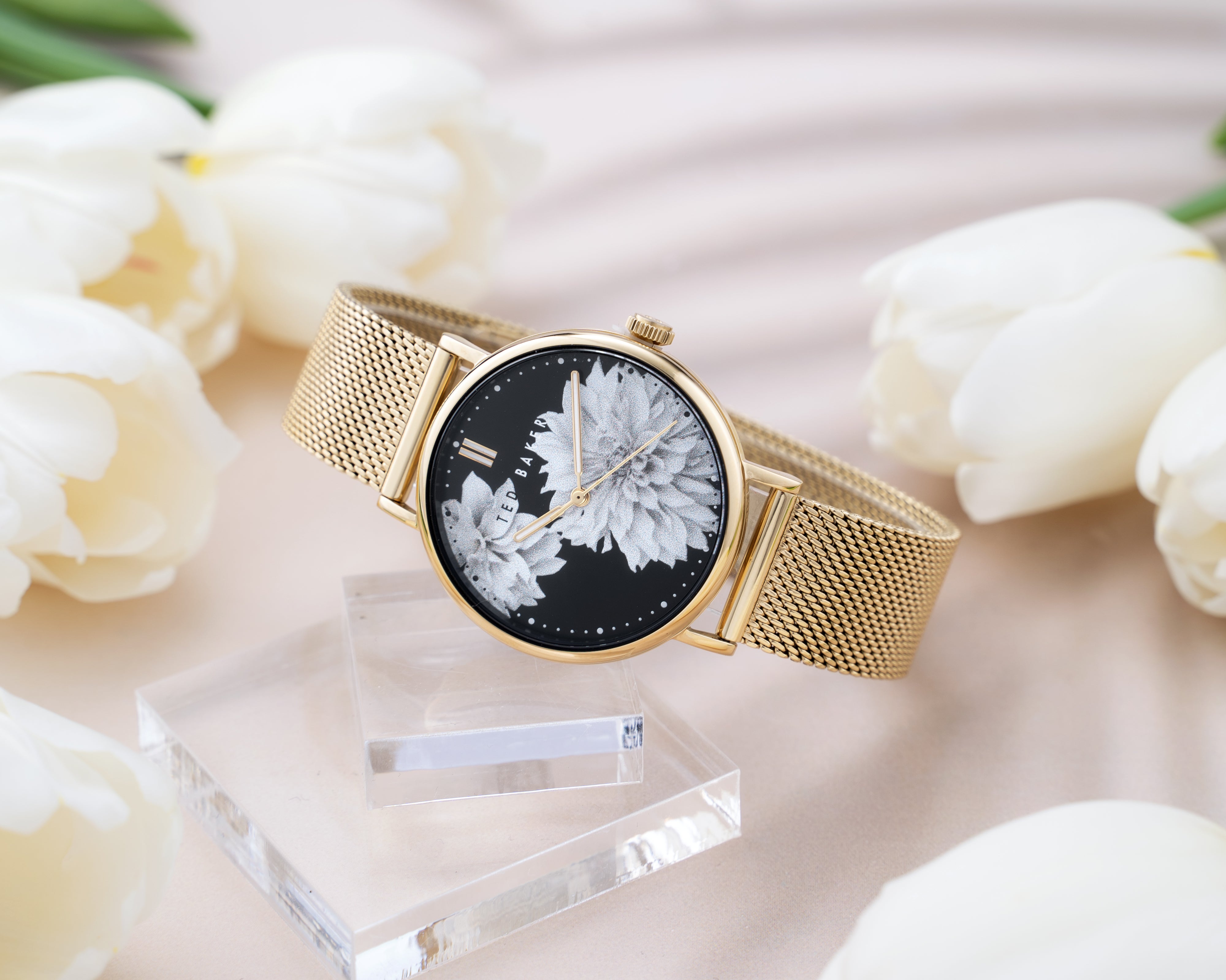 Ladies Phylipa Flamingo