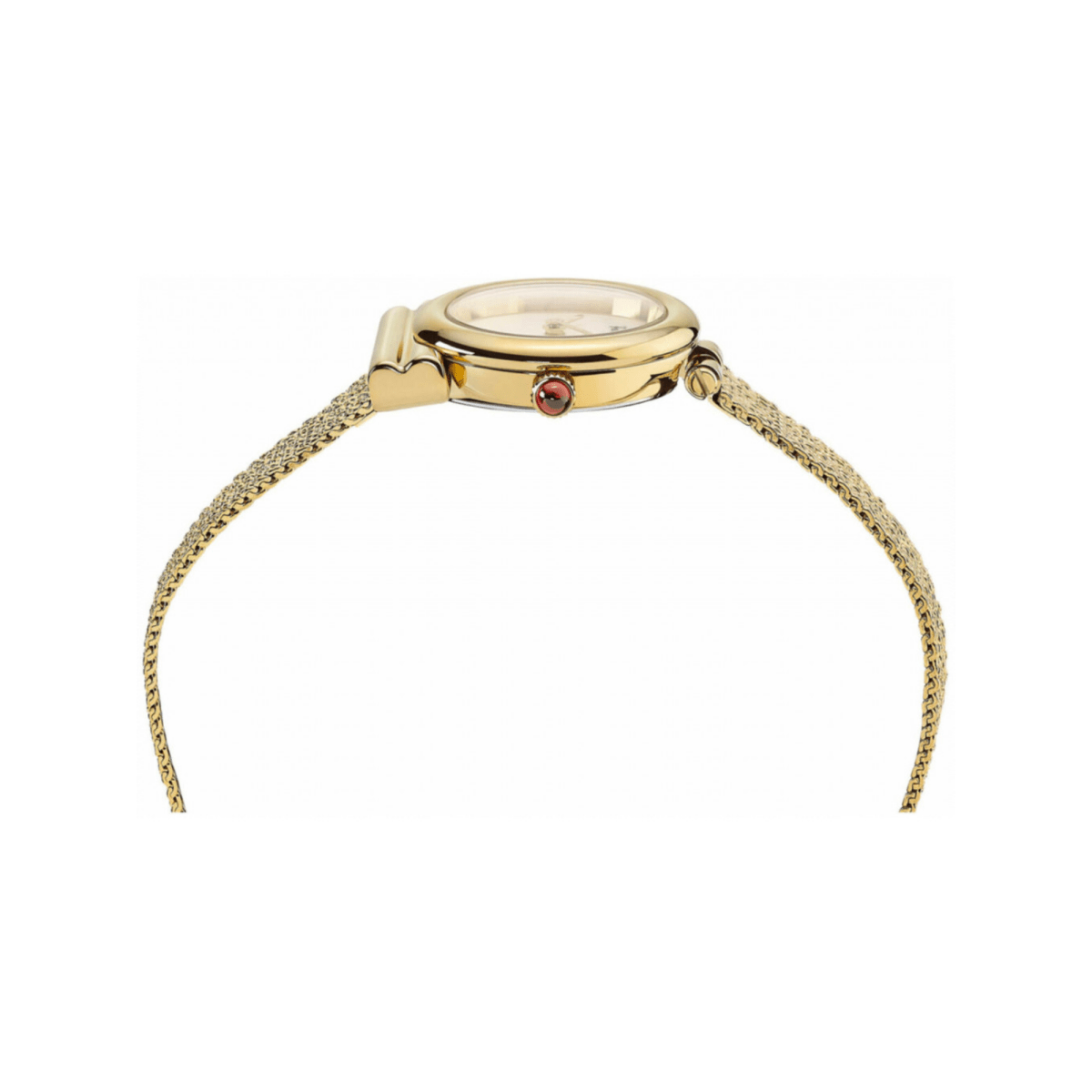 Salvatore Ferragamo Gancini 22Mm - L&M Luxury Timepieces