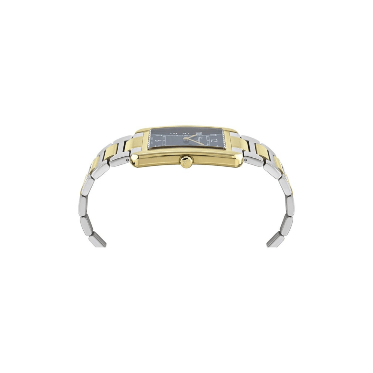 Salvatore Ferragamo Portrait Gent - L&M Luxury Timepieces