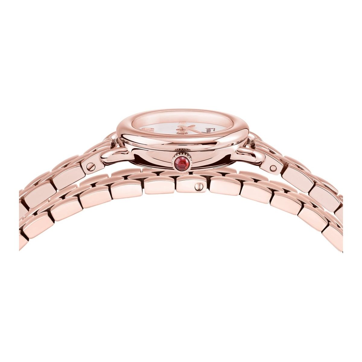 Salvatore Ferragamo Varina - L&M Luxury Timepieces
