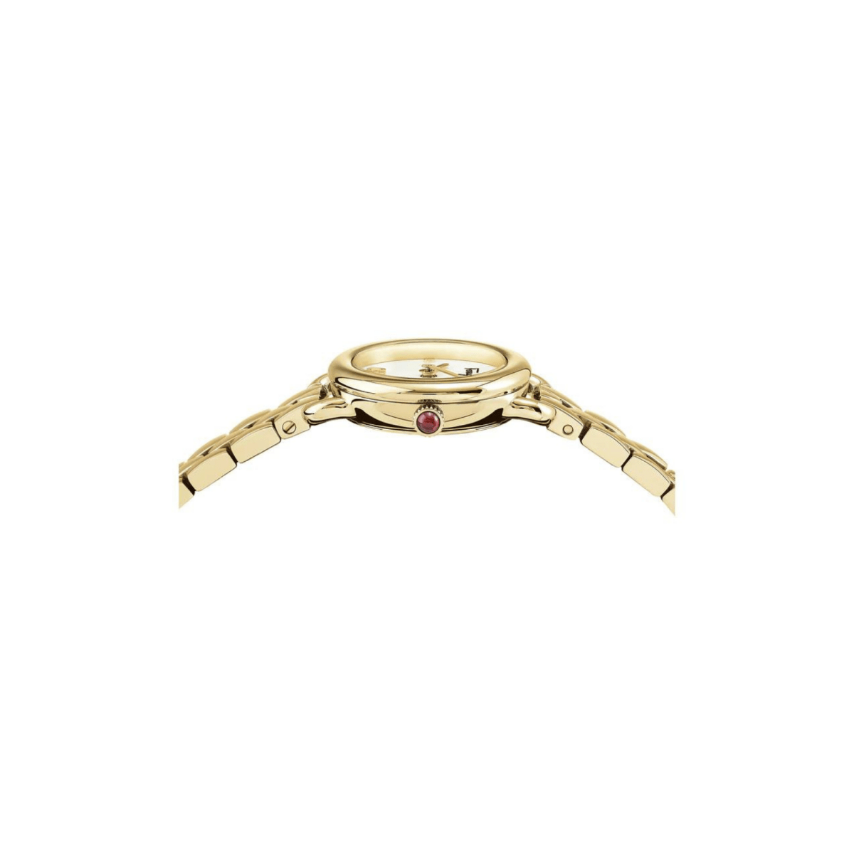 Salvatore Ferragamo Varina - L&M Luxury Timepieces